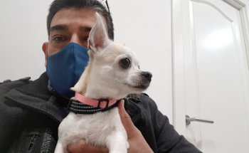 CLINICA VETERINARIA VETSCIUTADELLA