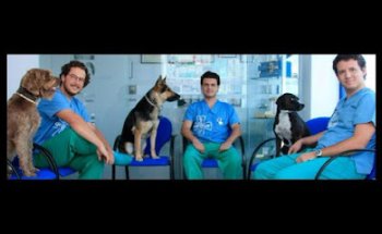 Clínica Veterinaria Clinican