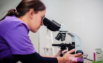 Clínica Veterinaria Plaza la Virgen Cullera