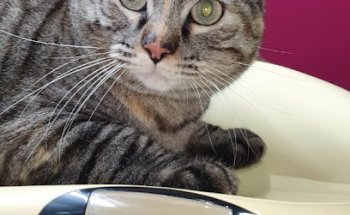 Clinica Veterinaria SanaSana Denia