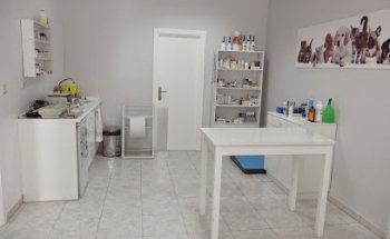 Clínica Veterinaria El Saladar C.B.