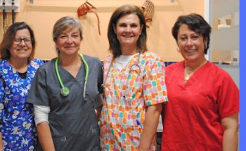 Centro Veterinario Coria