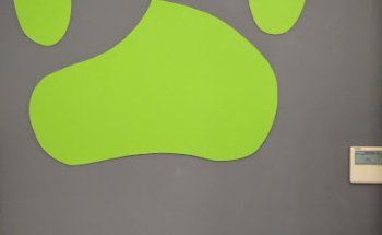 Clínica Veterinaria en Rocafort CENTERVET