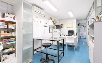 Centro Veterinario El Masnou