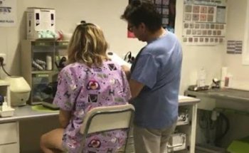 Centre Veterinari Ocata