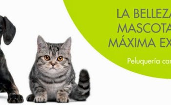 Clínica Veterinària Baix Penedès