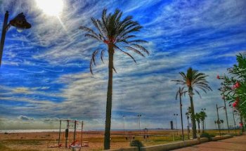 Clínica Veterinària Veteris