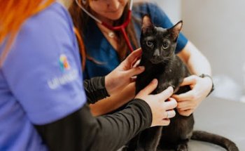 Hospital Veterinario Tartanga UNAVETS - Erandio