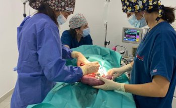 Clínica Veterinària Empordà Vergés Serra