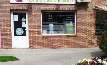 Centro Veterinario San Gregorio