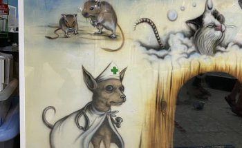 Nagusi | Veterinario y Peluquería canina