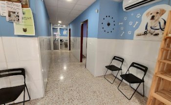 Clínica Veterinaria El Arca