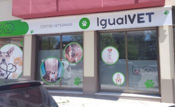Igualvet