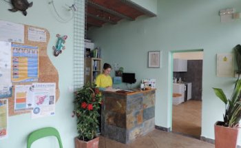 Vistavet Veterinarios 24h