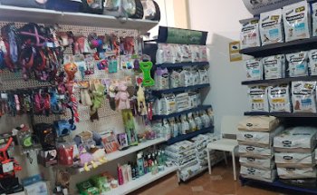 Clínica Veterinaria Fuerteventura S.L.