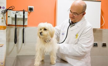 Centro Veterinario Prieto