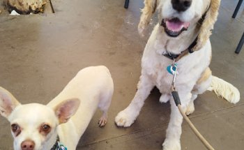 Clínica Veterinaria San José