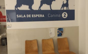 Universidad de Zaragoza: Hospital Veterinario