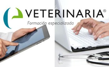 e-veterinaria