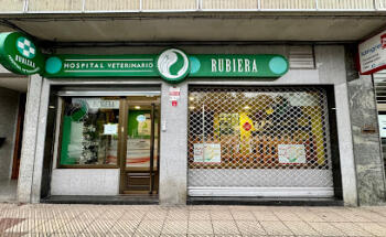 Veterinario Rubiera