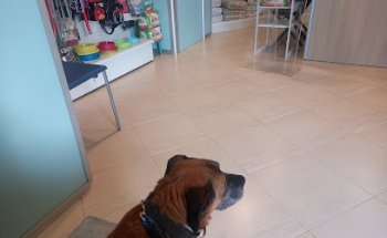 Clínica Veterinaria Ignasi Mir