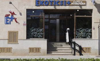 EXÒTICS I +, CLÍNICA VETERINARIA EN LLUCMAJOR
