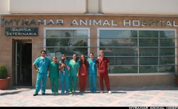 Myramar - Veterinarios en Fuengirola
