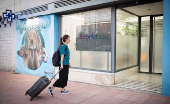 EcoPet Veterinaria Sevilla