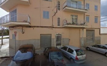 Veterinario Equino Sebastià Miquel