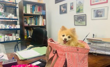 MEDICINA BIOLOGICA RAMON RIPOLL ENSENYAT