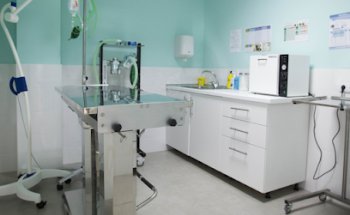 Clínica Veterinaria Son Frau