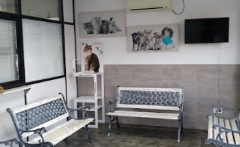 Clínica Cas Menescal