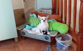 Veterinaria Aguilera Mogán