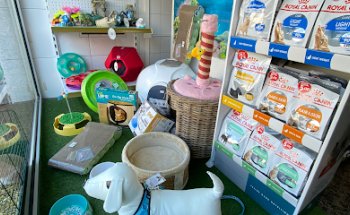 Clinica Veterinaria Mora, La Aldea