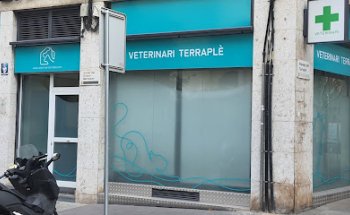 Veterinari Terraplè