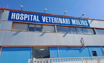 Hospital Veterinari Molins - Consultes Externes