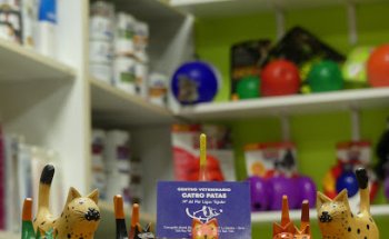 Catro Patas Centro Veterinario