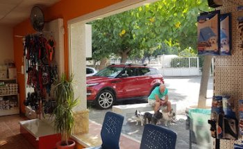 Clínica Veterinaria Nexo Novelda