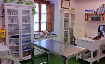 Clinica Veterinaria Africa