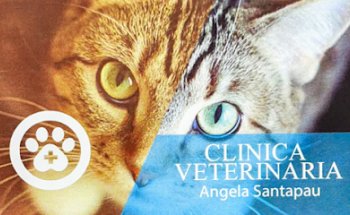 Clínica Veterinaria Oliva. Ángela Santapau