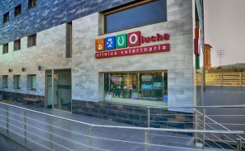 Clínica Veterinaria Olucha