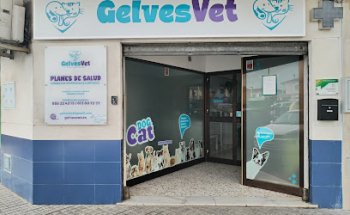 GelvesVet