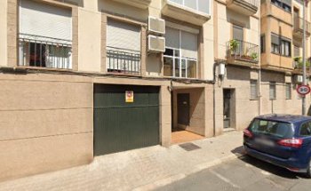 Veterinario en Cáceres - GreenVet