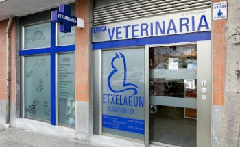 Clínica Veterinaria Etxelagun