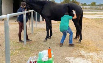Centro Veterinaria Albeitar