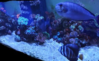 Clinica Veterinaria Moises