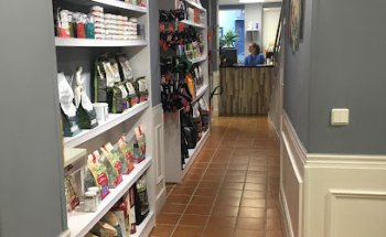 Clinica Veterinaria Jungle Vets