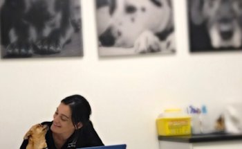 Pinetons Veterinaria