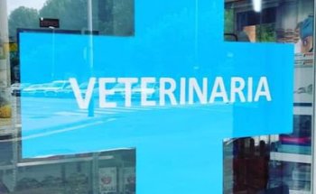 La Veterinaria Gabriela Rodriguez-Arrioja