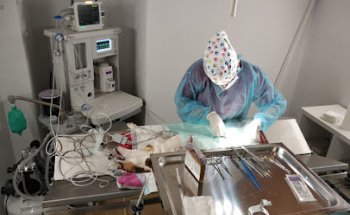 Centre Veterinari Bàscara